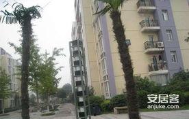 鑫苑都市爆料最新消息,揭秘项目进展与未来规划 第2张 鑫苑都市爆料最新消息,揭秘项目进展与未来规划 第2张